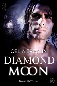 DIAMOND MOON BOOK COVER