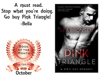Pink Triangle by Lea Bronsen book cover